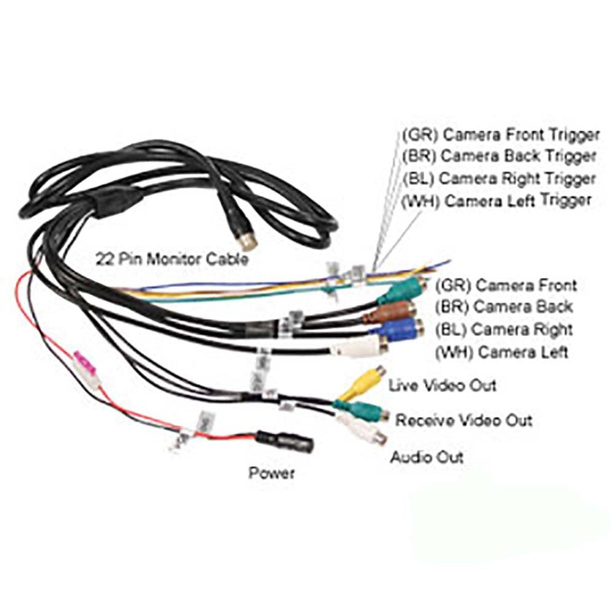 22-pin CabCAM monitor wiring harness with labeled color-coded camera trigger and video output connectors.