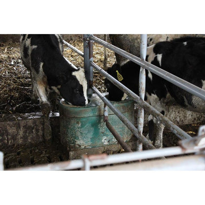14 Gallon Lapp (Energy Free) Livestock / Equine Automatic Waterer Fountain