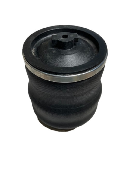 SZ85-109 33004 AUC22074 SZ85-104