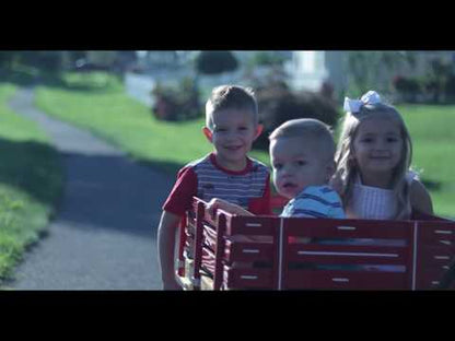 19″ x 33″ (Pink) 128 Speedway Express HD Wagon w/ Side Racks 1000 #