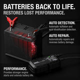 25 Amp (6v - 12v - 24v) Vehicle Tractor Construction Aviation ATV / UTV Battery Charger